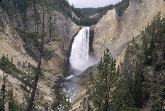 yellowstone national park