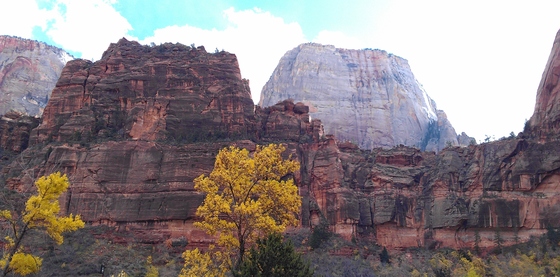 Zion National Park
