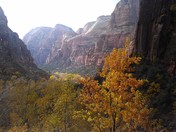 Zion National Park