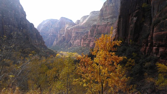 Zion National Park