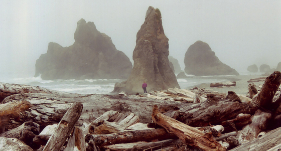 Olympic Nat Park