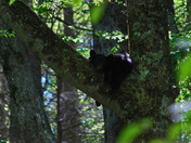 Great Smoky Mountains National Park