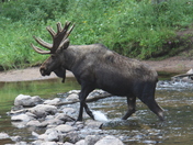 White River National Forest