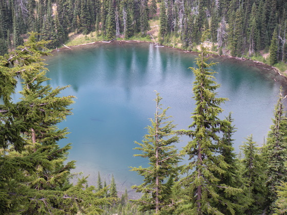 Mt. Rainier