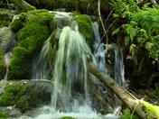 White River National Forest