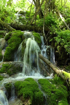 White River National Forest