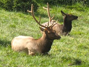 Rocky Mountain National Park