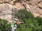 Capital Reef National Park