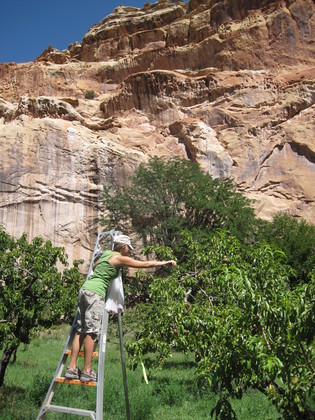 Capital Reef National Park