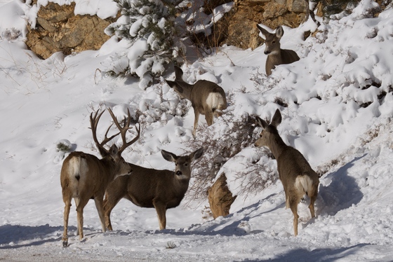 Rocky Mountain National Park