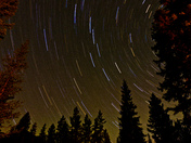 Shoshone National Forest