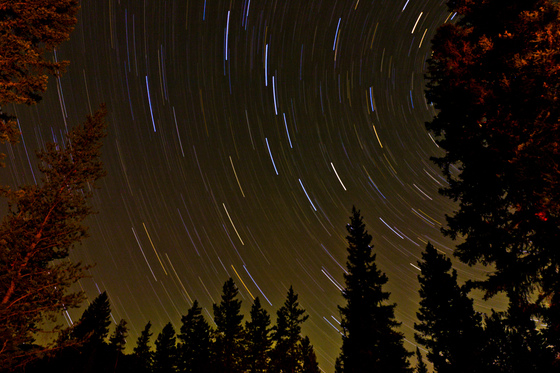 Shoshone National Forest