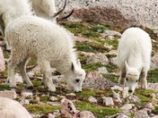 Glacier National Park