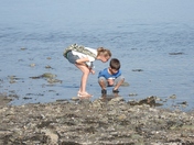 Acadia National Park