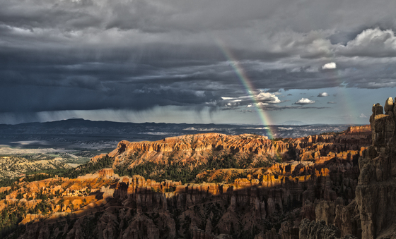 Bryce National Park