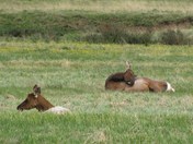 Holzwarth Historical Site