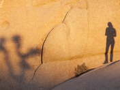 Joshua Tree National Park