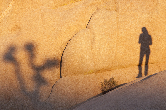 Joshua Tree National Park