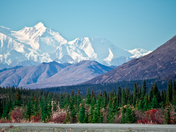 Denali National Park