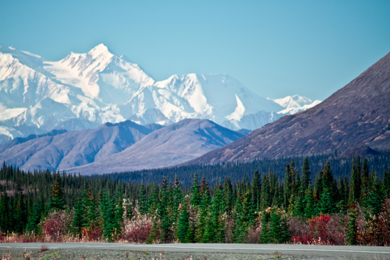Denali National Park