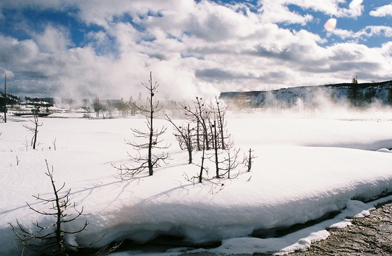 Yellowstone National Park