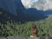 Yosemite National Park