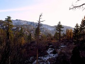 San Bernardino National Forest