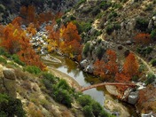 San Bernardino National Forest