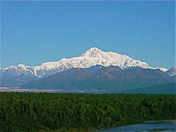 Denali National Park