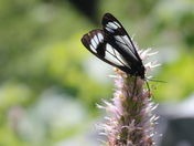 Grand Teton National Park 