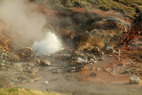 Yellowstone