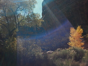 Natural Bridges National Monument