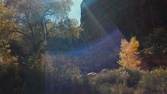 Natural Bridges National Monument