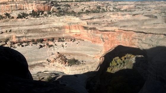 Natural Bridges National Monument