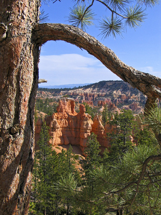 Bryce Canyon NP
