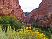 Zion National Park