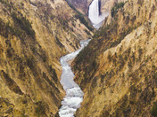 Yellowstone national park