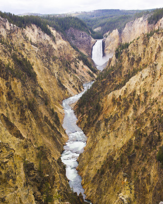 Yellowstone national park