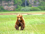 Katmai National Park
