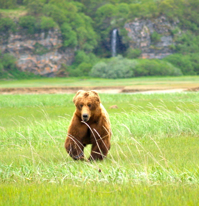Katmai National Park