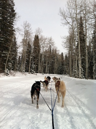USDA Forest Service