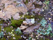 Rampart Range Reservior