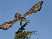 Parker River National Wildlife Refuge