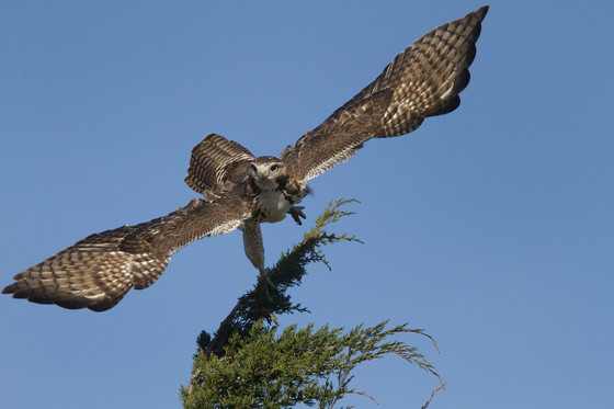 Parker River National Wildlife Refuge