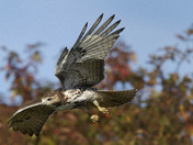 Parker River National Wildlife Refuge