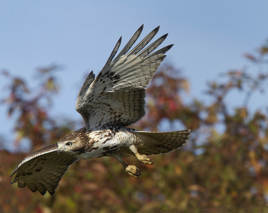 Parker River National Wildlife Refuge
