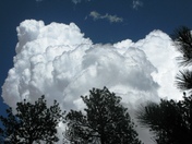 Jewel Cave National Monument