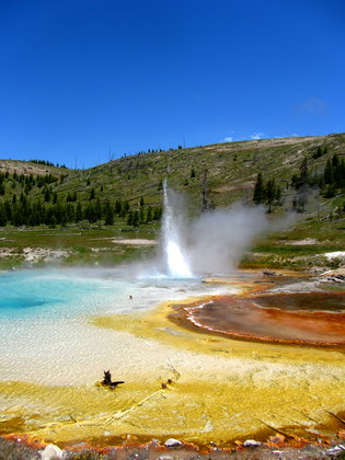 Yellowstone National Park