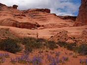 Arches National Park