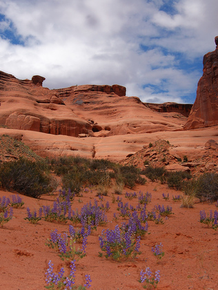 Arches National Park